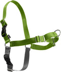PetSafe Easy Walk Harness, No Pull Dog Harness, Apple Green, Medium | Patented Martingale Loop Gives Gradual Shoulder Pressure to Stop Pulling, Front-Chest Leash Clip Prevents Gagging