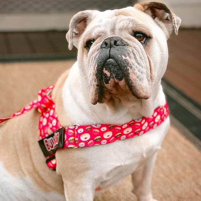 Adjustable Dog Harness– No Pull, No Choke – for English Bulldogs, French Bulldogs, Pugs & Broad-Chested Breeds – Easy, Safe Walks (Donuts, Small)