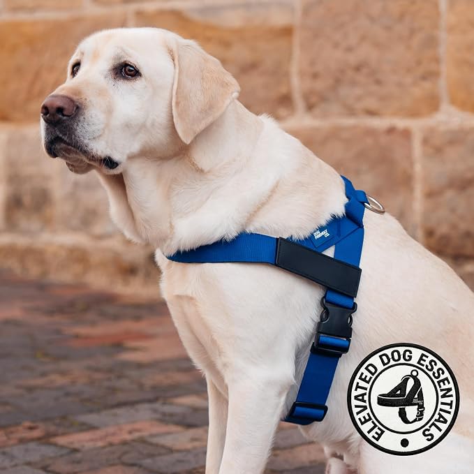Dog Friendly Co. Dog Harness for Large Dogs (Classic Blue, Large) | One Click Buckle, Chafe Resistant Webbing, Adjustable Neck & Chest, and Heavy Duty D-Ring, Sturdy Comfortable and Easy to Use