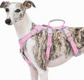 Escape Proof Dog Harness, No Pull Reflective Harness with Lift Handle, Adjustable Pet Vest with Front and Back Leash Clips for Small Medium Large Dogs Walking Hiking Training (Pink,L)