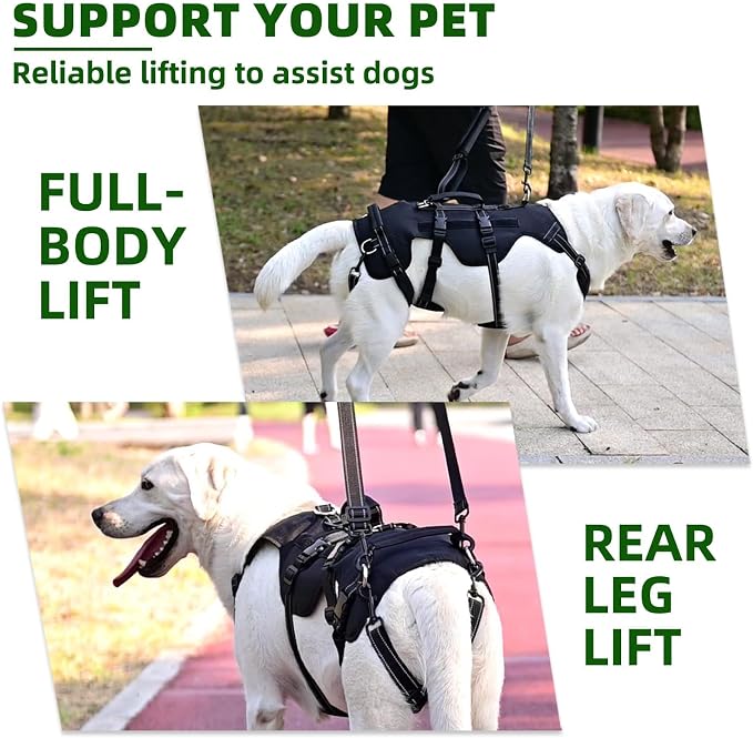 PUPTECK Dog Lift Harness for Medium Large Sized Dog, Rehabilitation Sling for Hind Leg Support, Multifunctional Mobility Assistance Harness for Old, Disabled, Joint Injuries, Paralysis Dogs, Black M