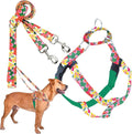 2 Hounds Design - Freedom No-Pull Harness & Training Leash in Green Aloha | Dual Leash Loops, No Pulling on Walks | Lined to Prevent Chaffing | for Large Sized Dogs (Size M, Chest 24”- 28”)