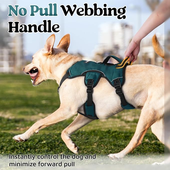 rabbitgoo Escape Proof Dog Harness for X-Large, No Pull with Lift Handle | No Escape, Full Soft Padded, Reflective Adjustable Vest, Leash Clip for Walking Hiking Training, Dark Green, X-Large