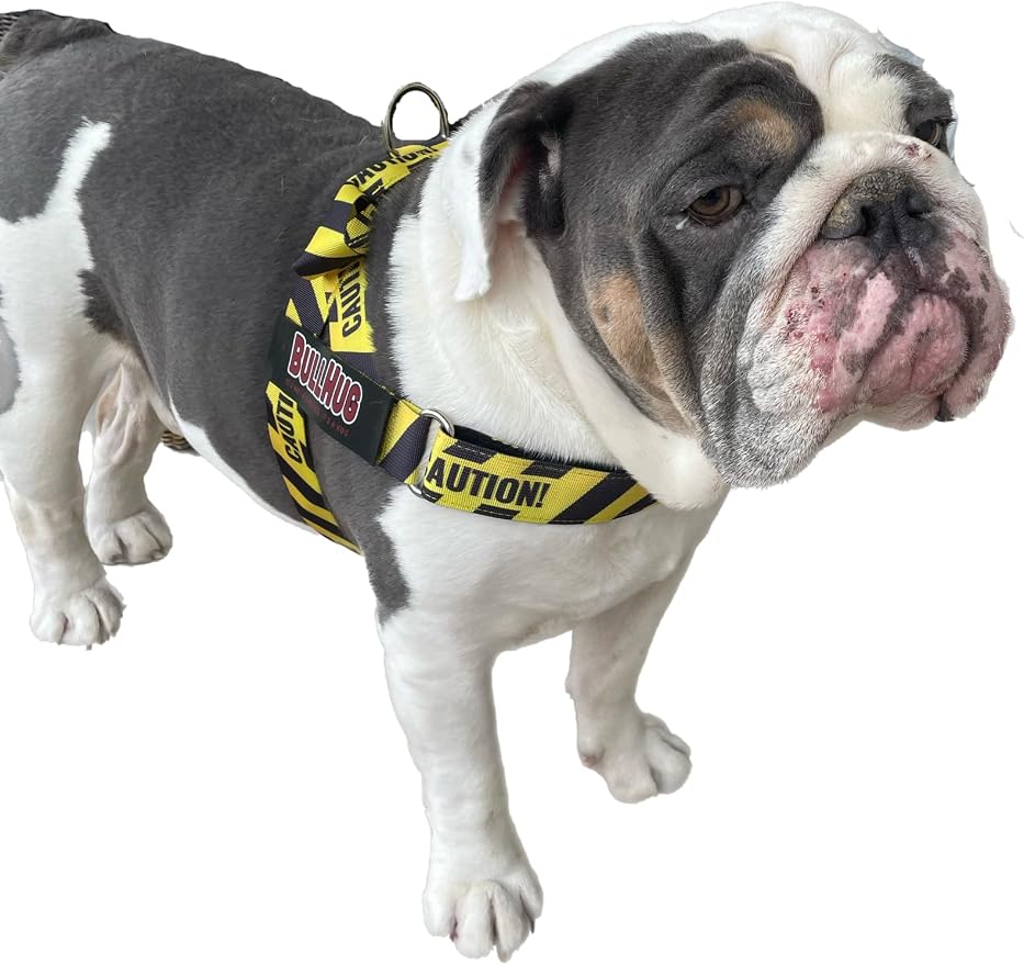 Adjustable Dog Harness– No Pull, No Choke – for English Bulldogs, French Bulldogs, Pugs & Broad-Chested Breeds – Easy, Safe Walks (Caution, XL)