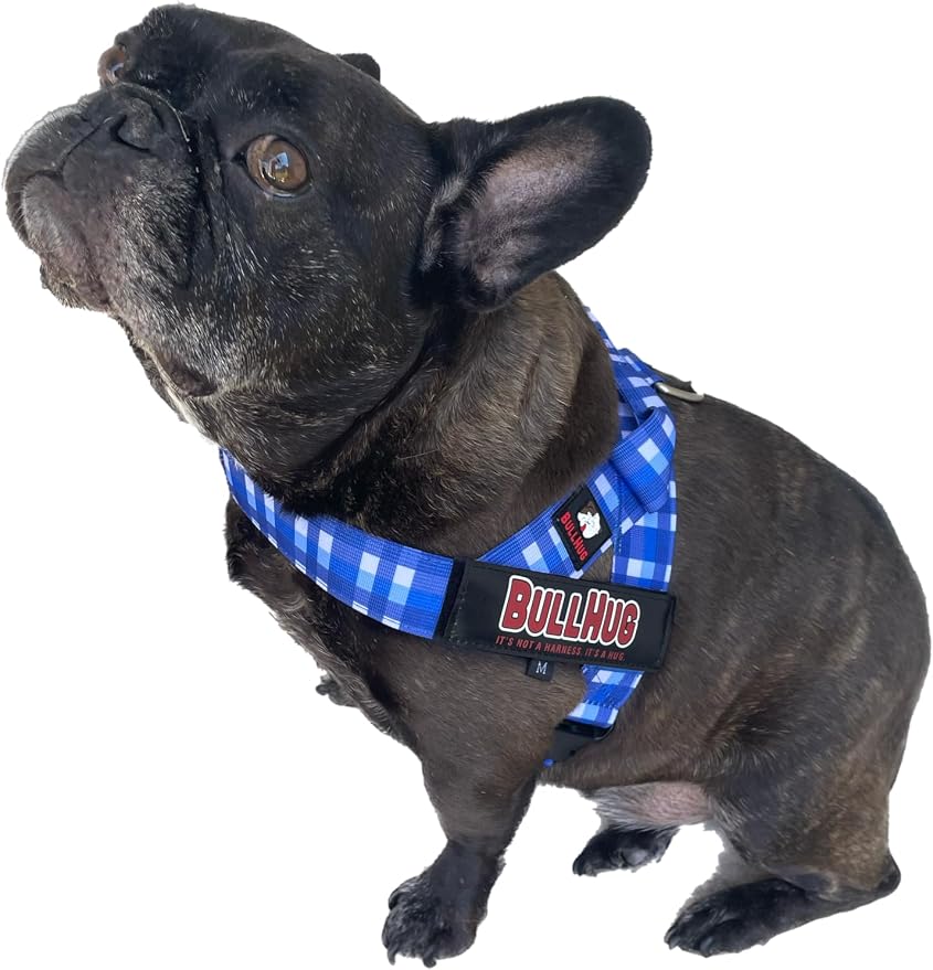 Adjustable Dog Harness– No Pull, No Choke – for English Bulldogs, French Bulldogs, Pugs & Broad-Chested Breeds – Easy, Safe Walks (BLUEWHITE, Medium)