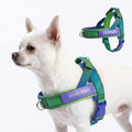 Spark Paws No Pull Front Clip Dog Harness - Easy On, Padded and Lightweight | Two Clips, On in Seconds, Chest Bearing, Australian Style, No Throat Pressure, for Small Medium and Large Breeds
