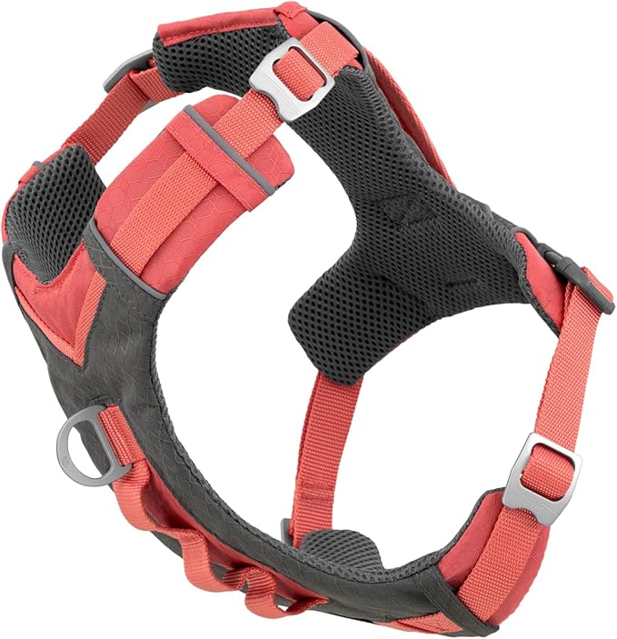 Kurgo Journey Air Dog Harness, Coral, Small | Padded Chest, Ripstop Outer & Breathable Mesh, Back Assist Handle, Rust-Free Aluminum Hardware, Reflective Trim
