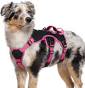 rabbitgoo Escape Proof Dog Harness for Medium, No Pull with Lift Handle | No Escape, Full Soft Padded, Reflective Adjustable Vest, Leash Clip for Walking Hiking Training, Rose & Black, Medium