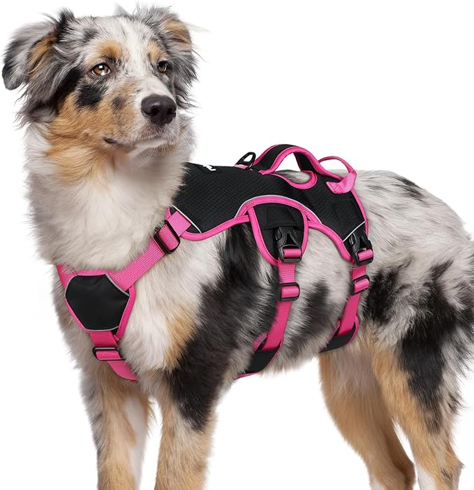 rabbitgoo Escape Proof Dog Harness for Medium, No Pull with Lift Handle | No Escape, Full Soft Padded, Reflective Adjustable Vest, Leash Clip for Walking Hiking Training, Rose & Black, Medium