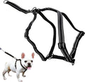 SPORN Ultimate Control No Pull Dog Harness for Small-Sized Dogs - 4-in-1 Adjustable Dog Harness with Front, Back & Dual-Clip Options & Emergency Grab Handle - Easy On/Off, Padded Comfort (Black, S)