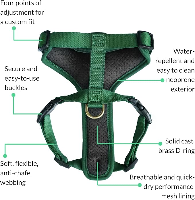 Adventure Dog Harness - Stylish and Durable Small Dog Harness for Outdoor Adventures and Everyday Wear - Forest Green Neoprene Adjustable Harness for Dogs with Reflective Piping & Brass D-Ring