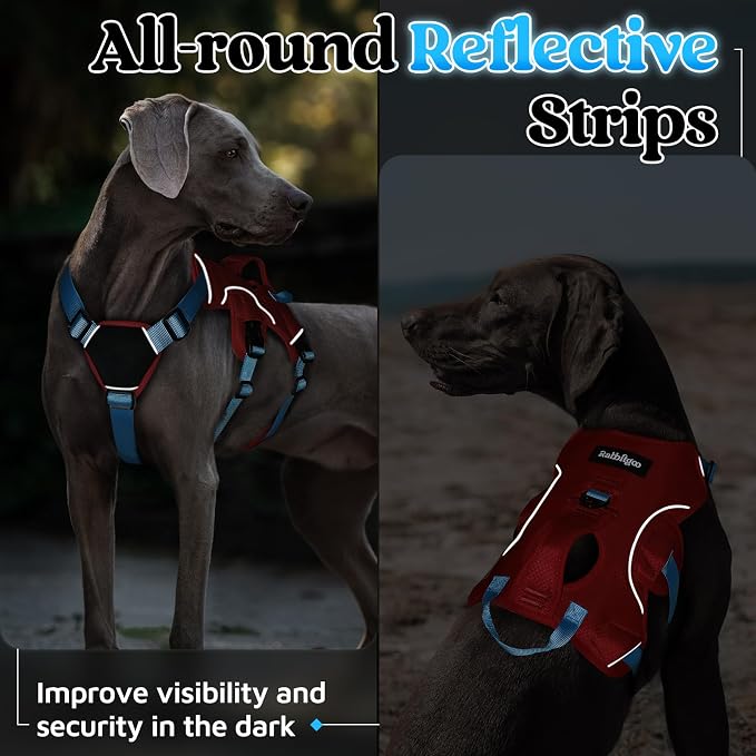 rabbitgoo Escape Proof Dog Harness for Medium, No Pull with Lift Handle | No Escape, Full Soft Padded, Reflective Adjustable Vest, Leash Clip for Walking Hiking Training, Sky Blue & Red, Medium