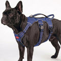 Tuff Pupper Escape Proof No Escape Dog Harness | 5 Point Adjustable Fit Harness for Dogs | Padded Dog Harnesses | Handle Dog Lift Harnesses