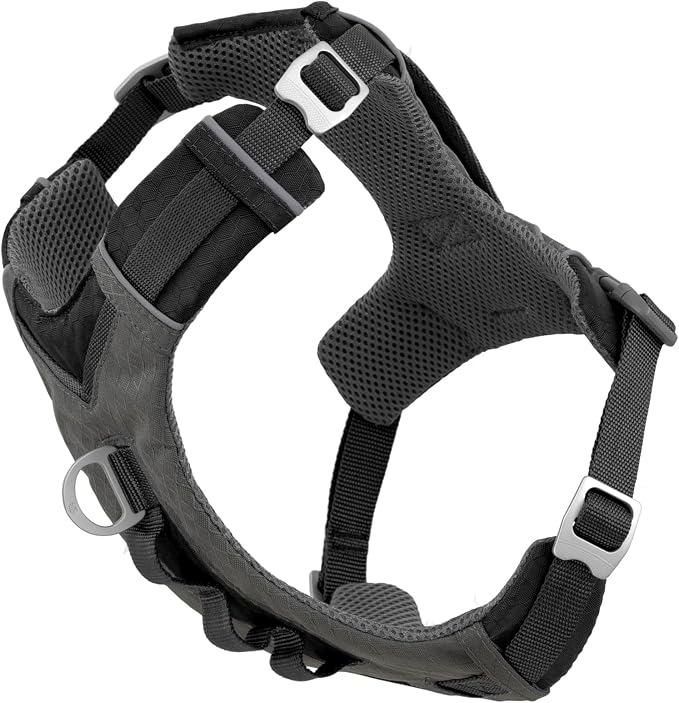 Kurgo Journey Air Dog Harness, Black, Extra Large | Padded Chest, Ripstop Outer & Breathable Mesh, Back Assist Handle, Rust-Free Aluminum Hardware, Reflective Trim