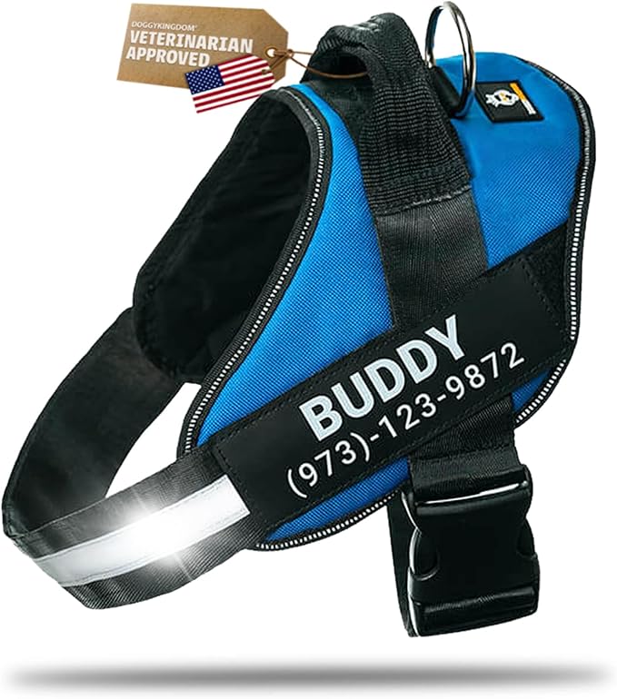 Personalized Dog Harness with Custom Name Patches, Adjustable Reflective No Choke Dog Vest with Handle for Medium Sized Dog, Blue, M