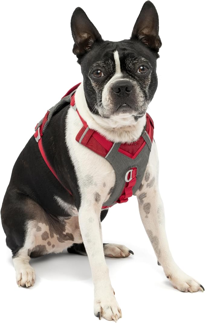 Kurgo Journey Air Dog Harness, Red, Small | Padded Chest, Ripstop Outer & Breathable Mesh, Back Assist Handle, Rust-Free Aluminum Hardware, Reflective Trim