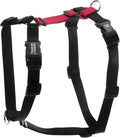 Blue-9 Buckle-Neck Balance Harness, Fully Customizable Fit No-Pull Harness, Ideal for Dog Training and Obedience, Made in The USA, Red, Small