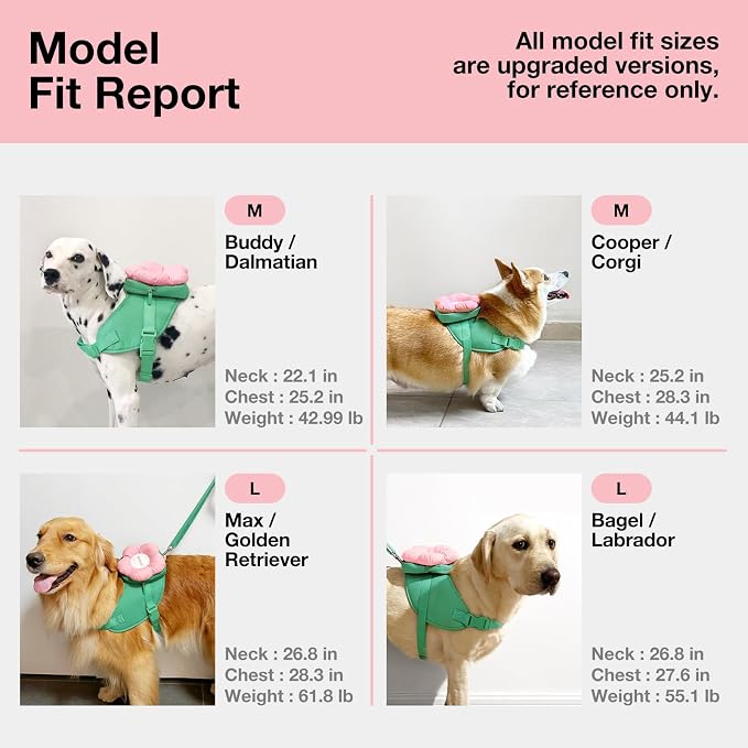 VETRESKA Flora Dog Harness, Leash and Collar Set, No Pull Vest Harness, L | for Walking and Training, Adjustable, Easy Control and Soft Padded Pet Harness and Backpack for Small Medium Large Dogs