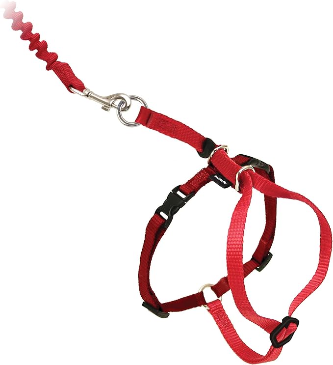 PetSafe Come With Me Kitty Harness and Bungee Leash, Harness for Cats, Small, Red/Cranberry, CWMK-S-RED | Adjustable 2-Point Fit Applies Gentle Pressure to Shoulders, Not Neck, for Kittens and Small Cats with 9 in - 11 in Girth