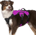 rabbitgoo Escape Proof Dog Harness for Medium, No Pull with Lift Handle | No Escape, Full Soft Padded, Reflective Adjustable Vest, Leash Clip for Walking Hiking Training, Purple, Medium