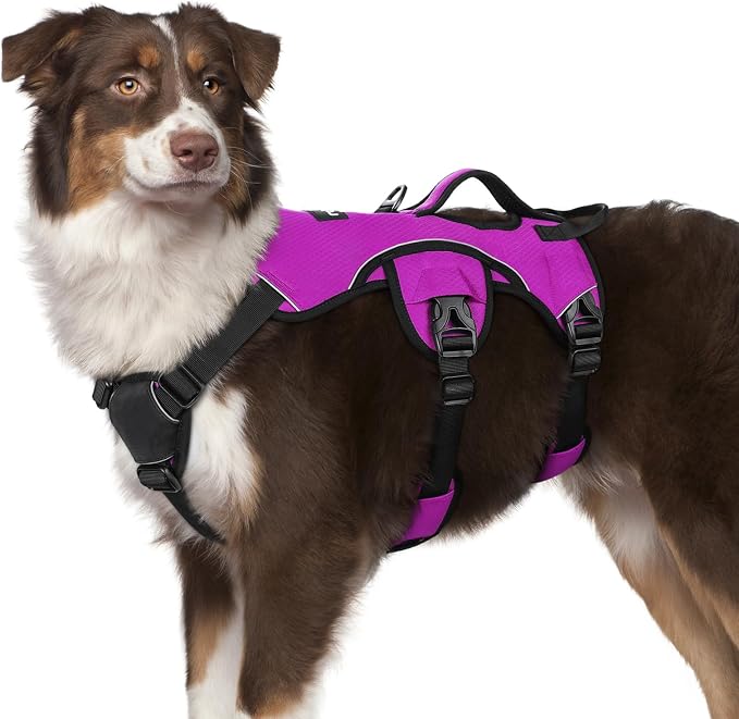 rabbitgoo Escape Proof Dog Harness for Medium, No Pull with Lift Handle | No Escape, Full Soft Padded, Reflective Adjustable Vest, Leash Clip for Walking Hiking Training, Purple, Medium