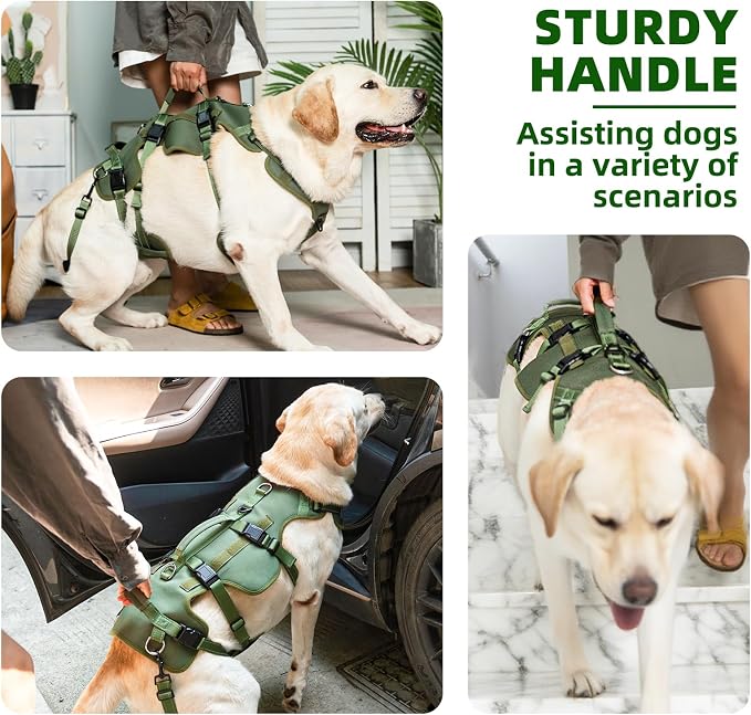 PUPTECK Dog Lift Harness for Medium Large Sized Dog, Rehabilitation Sling for Hind Leg Support, Multifunctional Mobility Assistance Harness for Old, Disabled, Joint Injuries, Paralysis Dogs, Green M