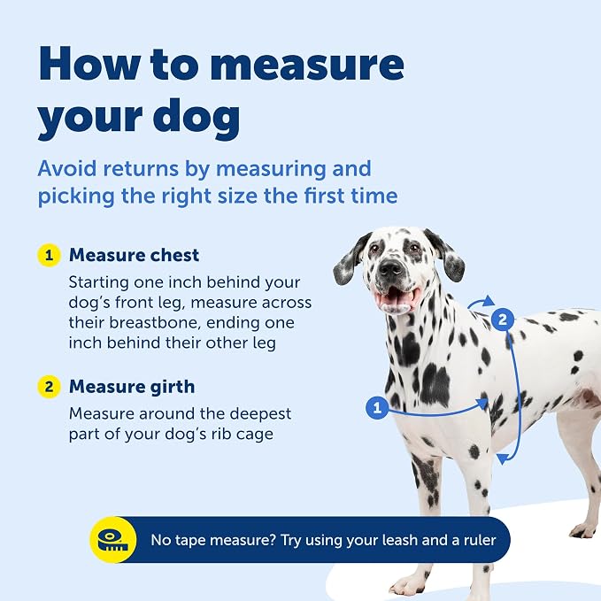 PetSafe Easy Walk Harness, No Pull Dog Harness, Large, Teal | Patented Martingale Loop Gives Gradual Shoulder Pressure to Stop Pulling, Front-Chest Leash Clip Prevents Gagging