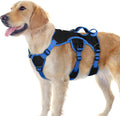 rabbitgoo Escape Proof Dog Harness for Large, No Pull with Lift Handle | No Escape, Full Soft Padded, Reflective Adjustable Vest, Leash Clip for Walking Hiking Training, Blue & Black, Large