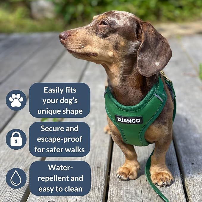 Adventure Dog Harness - Stylish and Durable Small Dog Harness for Outdoor Adventures and Everyday Wear - Forest Green Neoprene Adjustable Harness for Dogs with Reflective Piping & Brass D-Ring