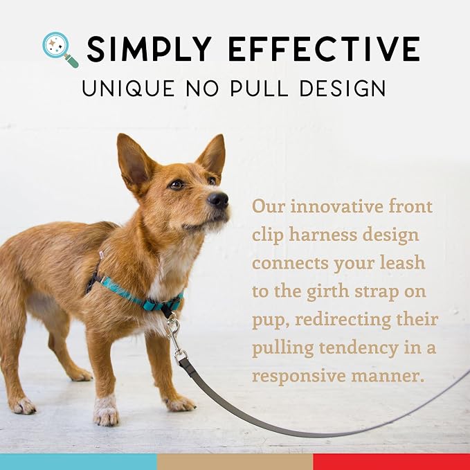 No Pull Dog Harness | Comfortable Dog Training Harnesses | Effective No Pull Harness Design | Ideal Dog Harness for Small Dog and Puppy | 4-Point Adjustable (XS-15~20 inch Girth, Turquoise)