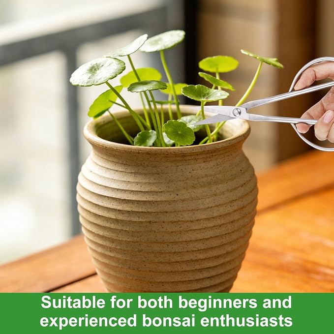 3pcs Bonsai Tool, Professional Stainless Steel Bonsai Trimming Kit with Knob Cutter Concave Cutter Leaf Scissors for Precision Pruning Shaping and Plant Care