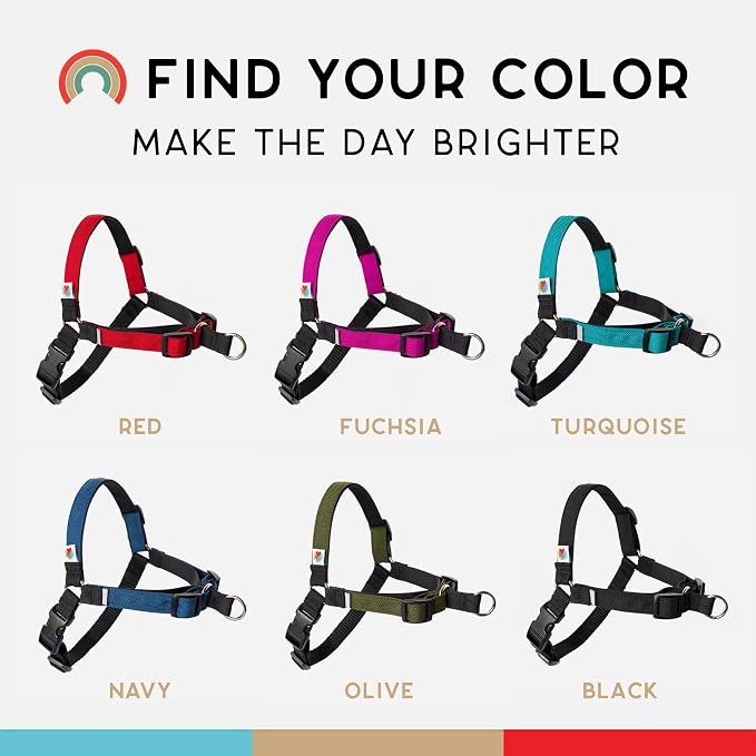 No Pull Dog Harness | Comfortable Dog Training Harnesses | Effective No Pull Harness Design | Ideal Dog Harness for Medium Sized Dog | 4-Point Adjustable (M - 22~28 inch Girth, Black)
