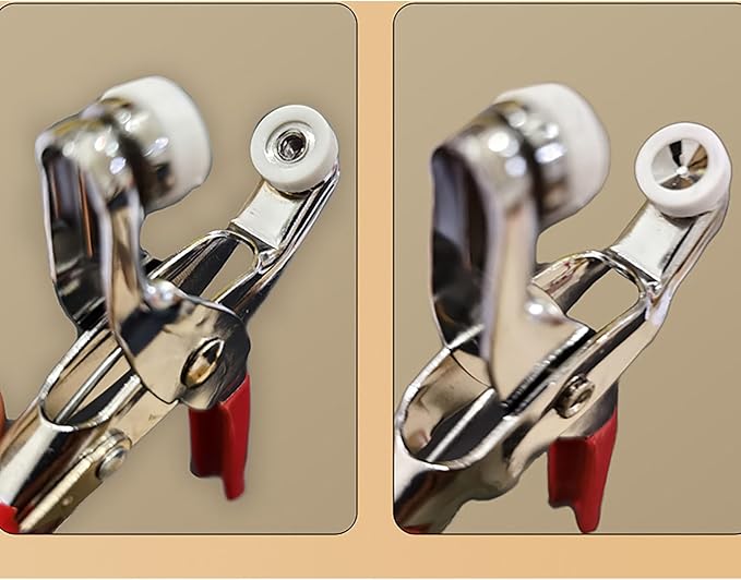 Snap Button Kit Sets, 100 Pair Colorful 5 Claw Buckle with 6 Inch Plier and Alloy Stick for Clothing Leather Crafting Sewing (1)