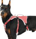Escape Proof Dog Harness, Dachshund Harness, Reflective Dog Harness with Handle, Durable,Adjustable Vest for Small Medium Large Dogs Walking, Training, and Running Gear (Red,XL)