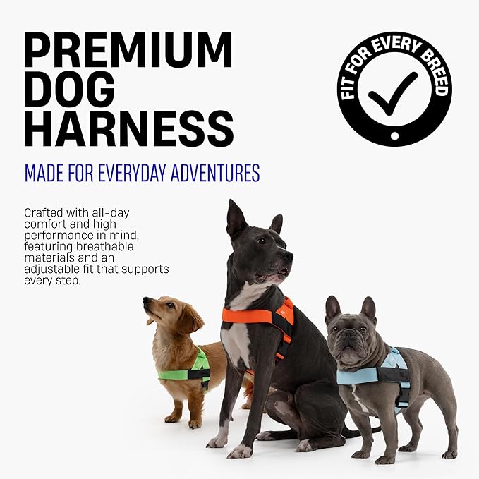 Dog Friendly Co. Dog Harness for Large Dogs (Classic Blue, Large) | One Click Buckle, Chafe Resistant Webbing, Adjustable Neck & Chest, and Heavy Duty D-Ring, Sturdy Comfortable and Easy to Use