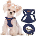 Puppytie XS Dog Harness and Leash Set, Navy, XS (4.5-11 lbs) | Extra Small Dog Harness, Puppy Harness and Leash, Soft Lightweight and Adjustable, Xsmall Dog Harness for Daily Walks