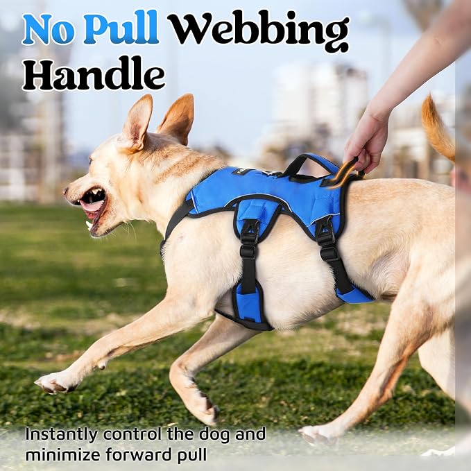 rabbitgoo Escape Proof Dog Harness for Large, No Pull with Lift Handle | No Escape, Full Soft Padded, Reflective Adjustable Vest, Leash Clip for Walking Hiking Training, Blue, Large