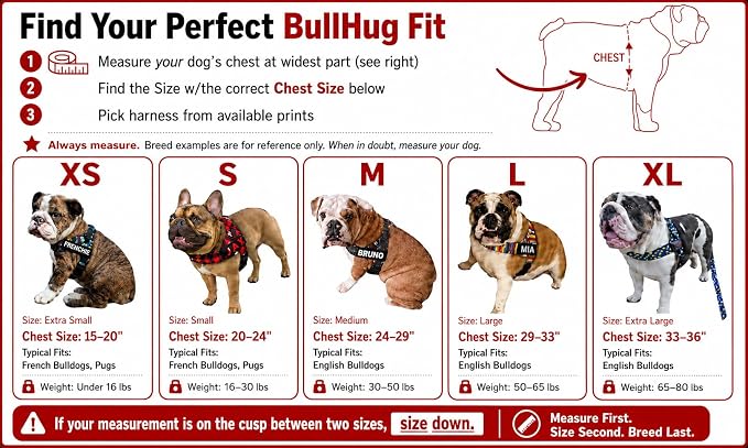 Adjustable Dog Harness– No Pull, No Choke – for English Bulldogs, French Bulldogs, Pugs & Broad-Chested Breeds – Easy, Safe Walks (Violet, Large)