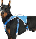 Escape Proof Dog Harness, Dachshund Harness, Reflective Dog Harness with Handle, Durable,Adjustable Vest for Small Medium Large Dogs Walking, Training, and Running Gear (Sea Blue,XL)
