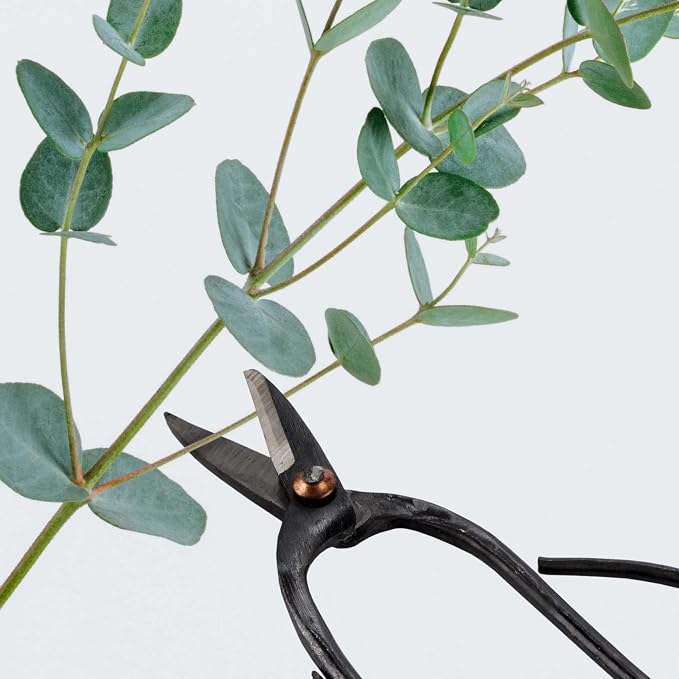 BambooMN Bonsai 10pc Advanced Care Set, Black Carbon Steel Tools, Shears, Concave & Knob Cutter, Wire Cutter, Trimming Scissor, Beginner Friendly