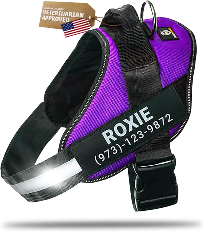 Personalized Dog Harness with Custom Name Patches, Adjustable Reflective No Choke Dog Vest with Handle for Extra Large Dog, Purple, XL