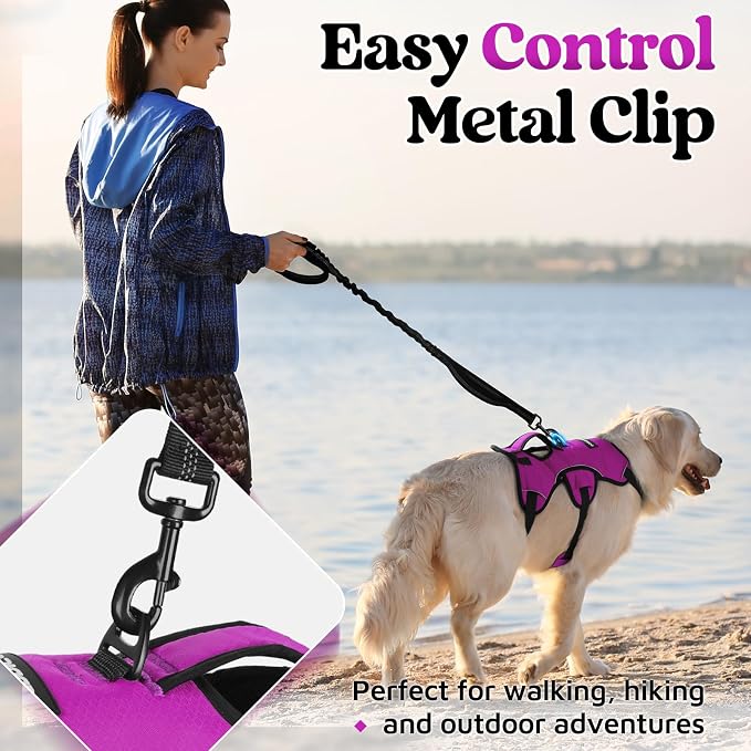 rabbitgoo Escape Proof Dog Harness for Large, No Pull with Lift Handle | No Escape, Full Soft Padded, Reflective Adjustable Vest, Leash Clip for Walking Hiking Training, Purple, Large