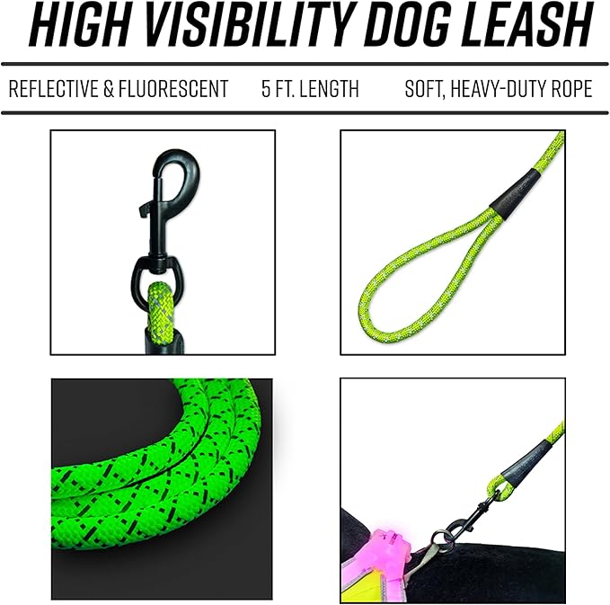 noxgear LightHound Light Up Reflective Dog Harness and Leash, Small | 360° Light Up Reflective Dog Harness, 8 Colors & 6 Modes, USB Rechargeable, Adjustable, Rainproof, LED Fiber Optic