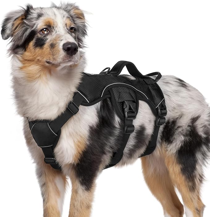 rabbitgoo Escape Proof Dog Harness for Medium, No Pull with Lift Handle | No Escape, Full Soft Padded, Reflective Adjustable Vest, Leash Clip for Walking Hiking Training, Black, Medium