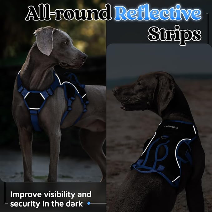 rabbitgoo Escape Proof Dog Harness for Medium, No Pull with Lift Handle | No Escape, Full Soft Padded, Reflective Adjustable Vest, Leash Clip for Walking Hiking Training, Blue & Black, Medium