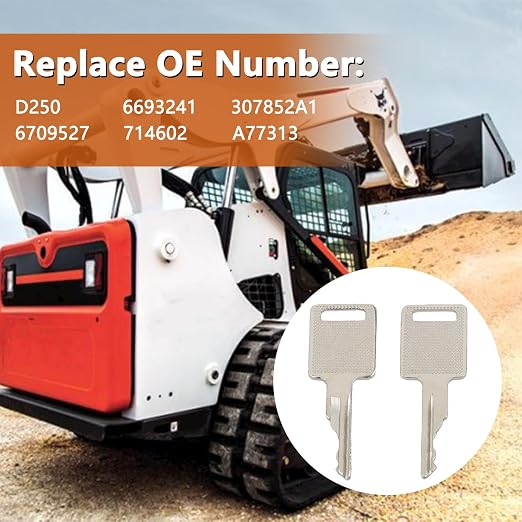 8 Pcs D250 Ignition Keys Heavy Equipment Keys Replace # 6693241 307852A1 6709527 714602 A77313 Compatible with Bobcat Case IH Skid Steer Loader and More