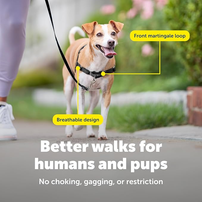 PetSafe Easy Walk Harness, No Pull Dog Harness, Charcoal Gray, Small | Patented Martingale Loop Gives Gradual Shoulder Pressure to Stop Pulling, Front-Chest Leash Clip Prevents Gagging