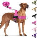 SlowTon No Pull Dog Harness with Front Clip - Heavy Duty, Soft Padded | Neck & Chest Adjustable, Tactical Pet Vest and Leash Set for Large Medium Sized Dogs, for Easy Walk & Training, Fuchsia M