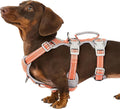 Escape Proof Dog Harness, Escape Artist Harness, Fully Reflective Harness with Padded Handle, Breathable, Durable, Adjustable Vest for Small Dogs Walking, Training, and Running Gear (Orange,S)