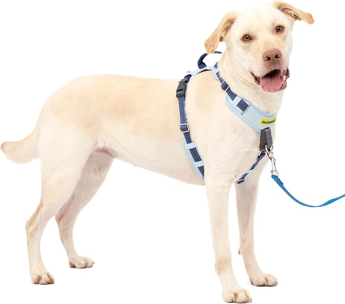 PetSafe Easy Walk Comfort No Pull Dog Harness, Blue, Large | Stops Pulling on First Use with Front Martingale Loop, Full-Body Padding, 5-Point Adjustable Fit